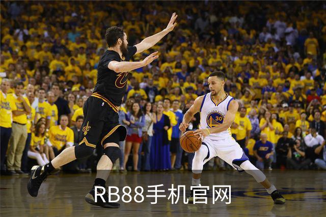 RB88手机官网公司介绍图